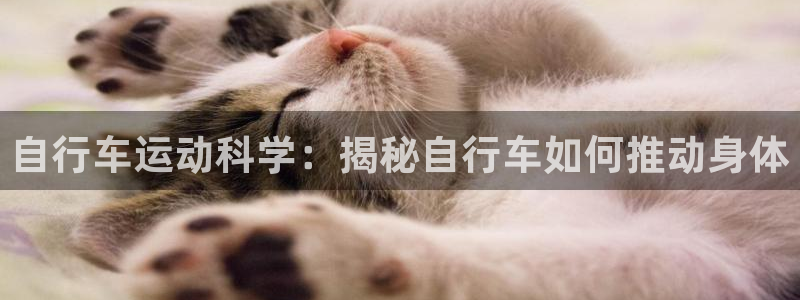 凯时尊龙官网|自行车运动科学:揭秘自行车如何推动身体(图1) 凯时尊龙官网