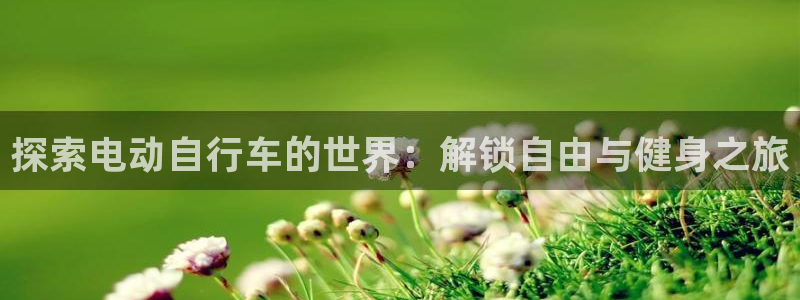 尊龙凯时人生就是搏|探索电动自行车的世界:解锁自由与健身之旅(图1) 尊龙凯时人生就是搏
