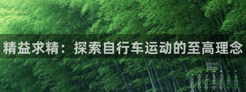 尊龙d88|精益求精:探索自行车运动的至高理念(图1) 尊龙d88