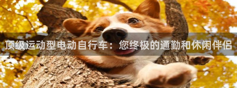 尊龙凯时怎么样|顶级运动型电动自行车:您终极的通勤和休闲伴侣(图1) 尊龙凯时怎么样