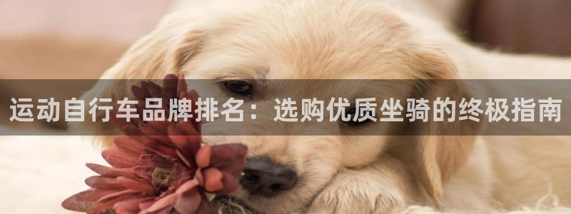 尊龙凯时娱乐|运动自行车品牌排名:选购优质坐骑的终极指南(图1) 尊龙凯时娱乐