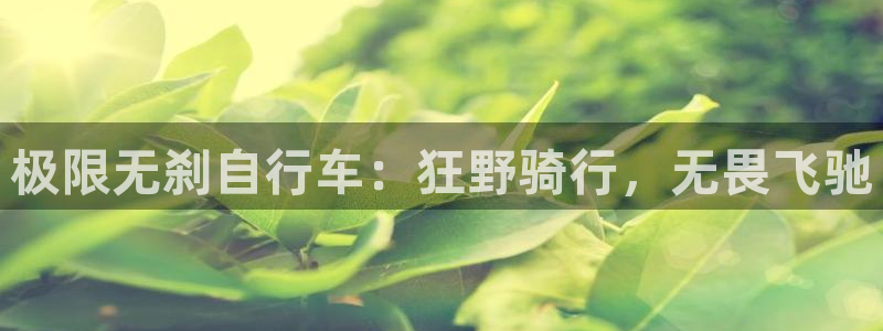 尊龙凯时人生就博官网登录|极限无刹自行车:狂野骑行,无畏飞驰(图1) 尊龙凯时人生就博官网登录