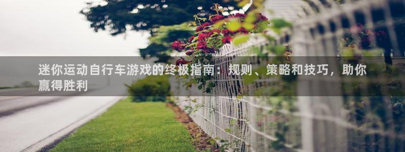 尊龙凯时一人生就是博|迷你运动自行车游戏的终极指南:规则、策略和技巧,助你
赢得胜利(图1) 尊龙凯时一人生就是博