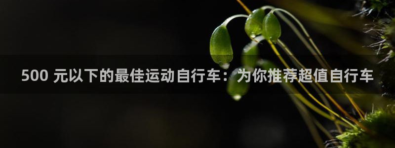 ag尊龙凯时-人生就是博|500 元以下的最佳运动自行车:为你推荐超值自行车(图1) ag尊龙凯时-人生就是博