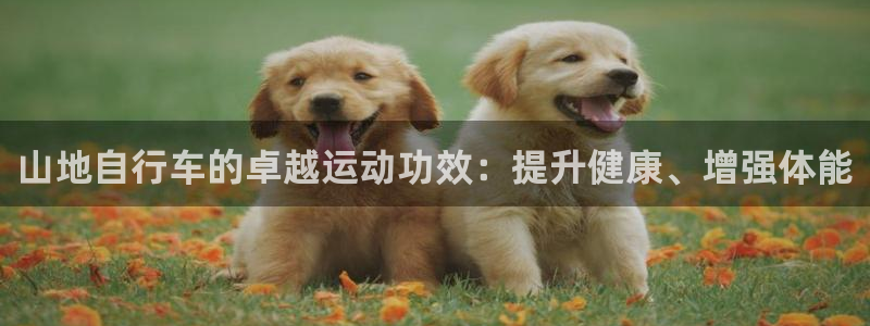 尊龙凯时人生就是博·(中国)官网|山地自行车的卓越运动功效:提升健康、增强体能(图1) 尊龙凯时人生就是博·(中国)官网