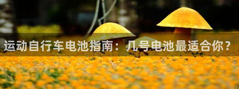 尊龙凯时z6com|运动自行车电池指南:几号电池最适合你?(图1) 尊龙凯时z6com