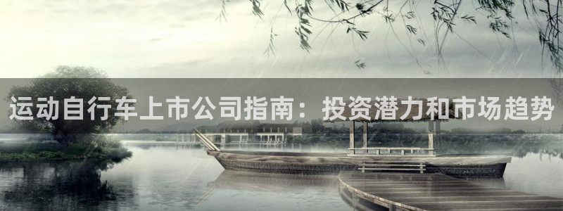 尊龙凯时|运动自行车上市公司指南:投资潜力和市场趋势(图1) 尊龙凯时