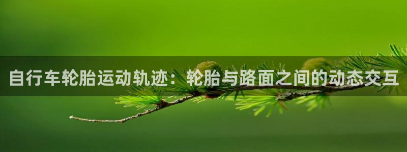 d88尊龙凯时|自行车轮胎运动轨迹:轮胎与路面之间的动态交互(图1) d88尊龙凯时