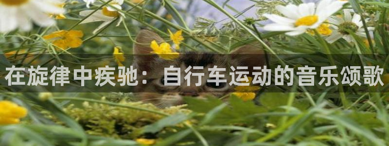 尊龙凯时人生就是博z6com|在旋律中疾驰:自行车运动的音乐颂歌(图1) 尊龙凯时人生就是博z6com