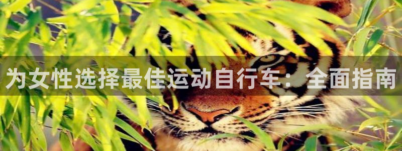 尊龙凯时是正规平台吗|为女性选择最佳运动自行车:全面指南(图1) 尊龙凯时是正规平台吗
