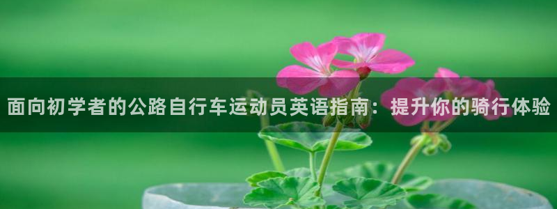 尊龙凯时平台怎么样|面向初学者的公路自行车运动员英语指南:提升你的骑行体验(图1) 尊龙凯时平台怎么样