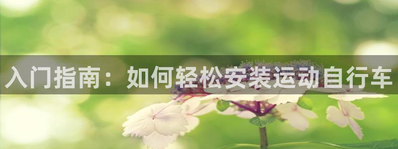 尊龙凯时平台登录|入门指南:如何轻松安装运动自行车(图1) 尊龙凯时平台登录