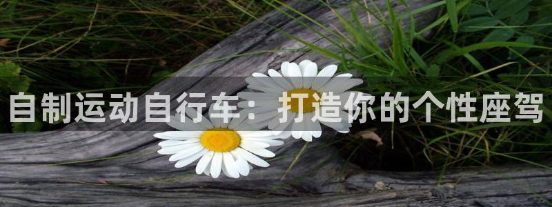 Z6尊龙老版|自制运动自行车:打造你的个性座驾(图1) Z6尊龙老版