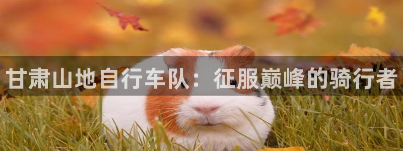 尊龙凯时官网|甘肃山地自行车队:征服巅峰的骑行者(图1) 尊龙凯时官网
